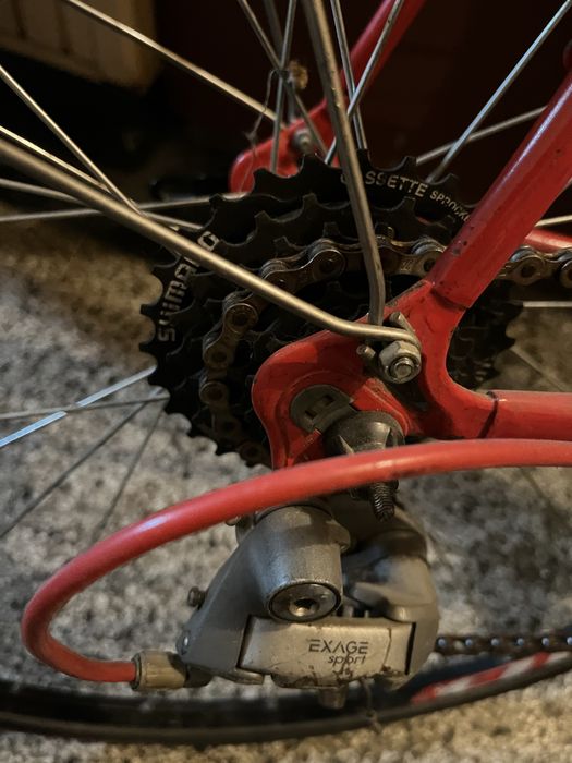 Френски бегач в добро състояние