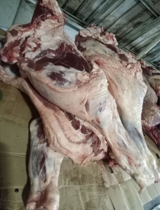 Говядина мясо оптом тушами