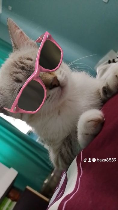 Нежная малышка ищет дом
