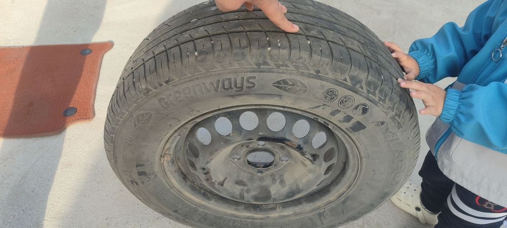 14 kobilt diska balon