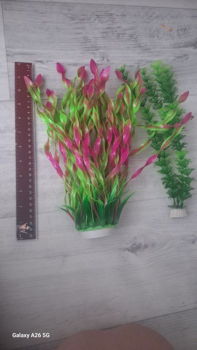 Растения в аквариум