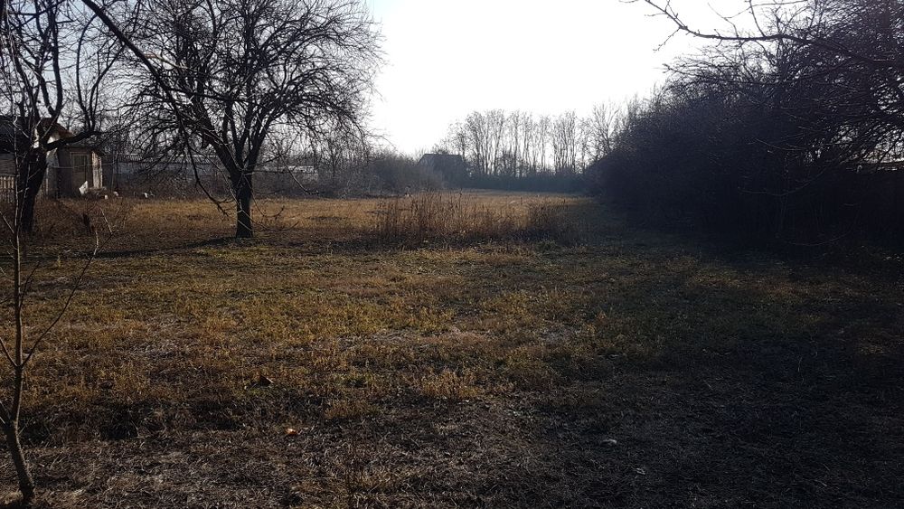 Curte de vanzare comuna Crevedia,sat Cocani,Dambovita