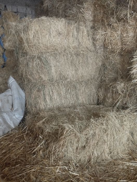 Сомон ва хашак сотилади