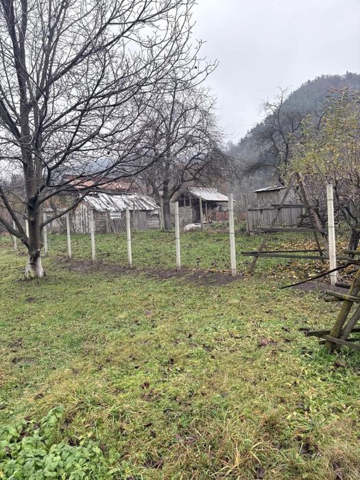 Spalieri / Stalpi de beton NOI