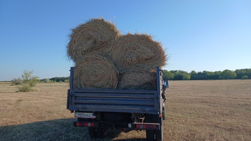 Продам сено степной,луговой 2026год