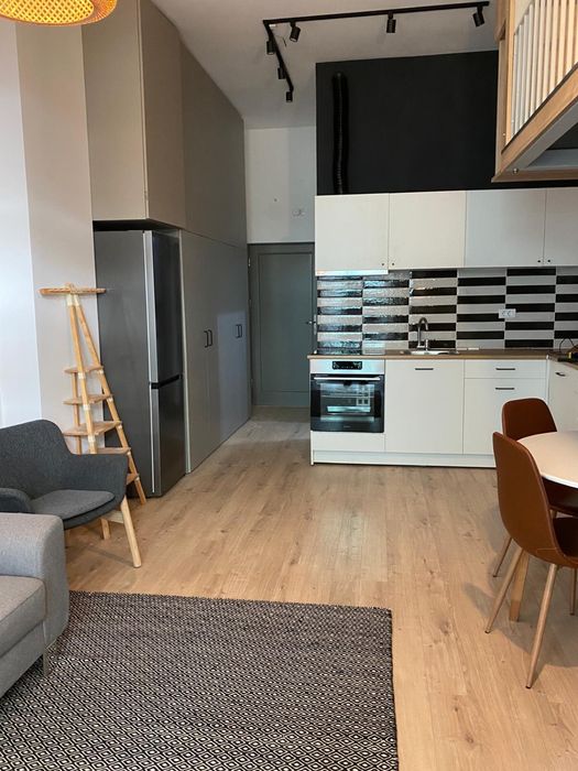 Apartament 1 camera cu gradina, Copou, Newton