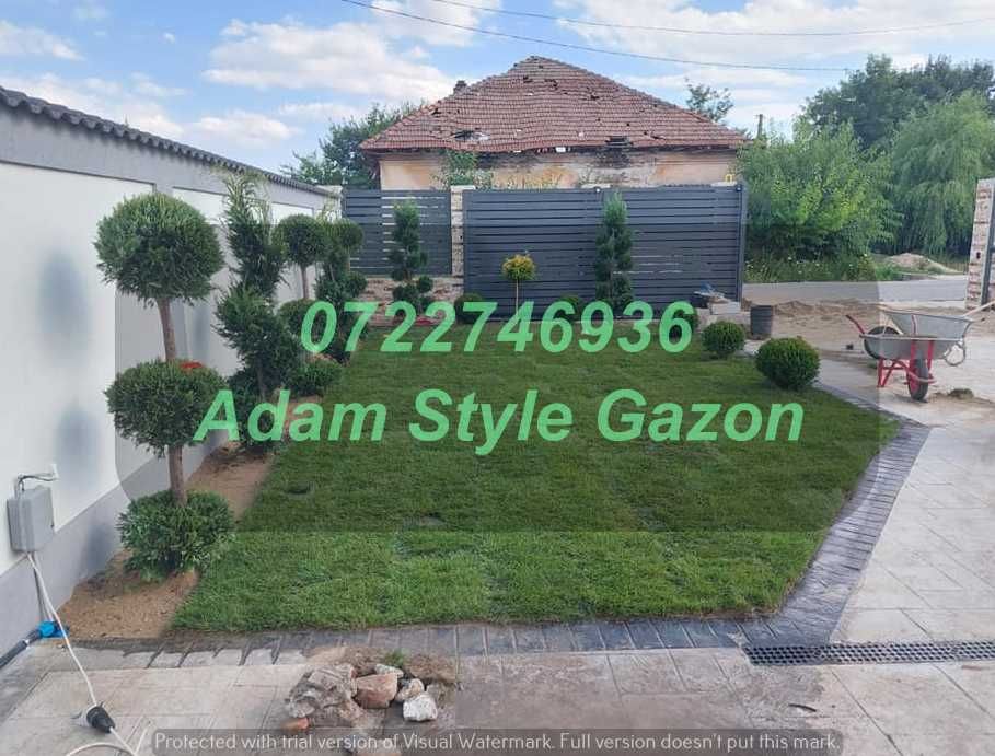 Gazon Premium pentru Amenajări de Lux