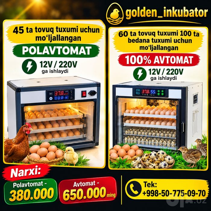 Zakazga inkubator yasab beramiz
