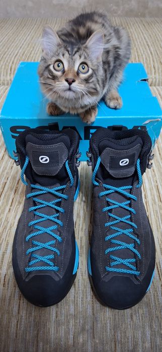 Треккинговые ботинки Scarpa Mescalito mid GTX