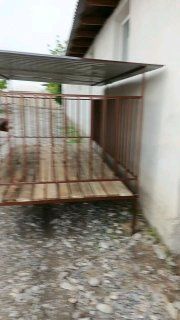 Куй кура замоанвий