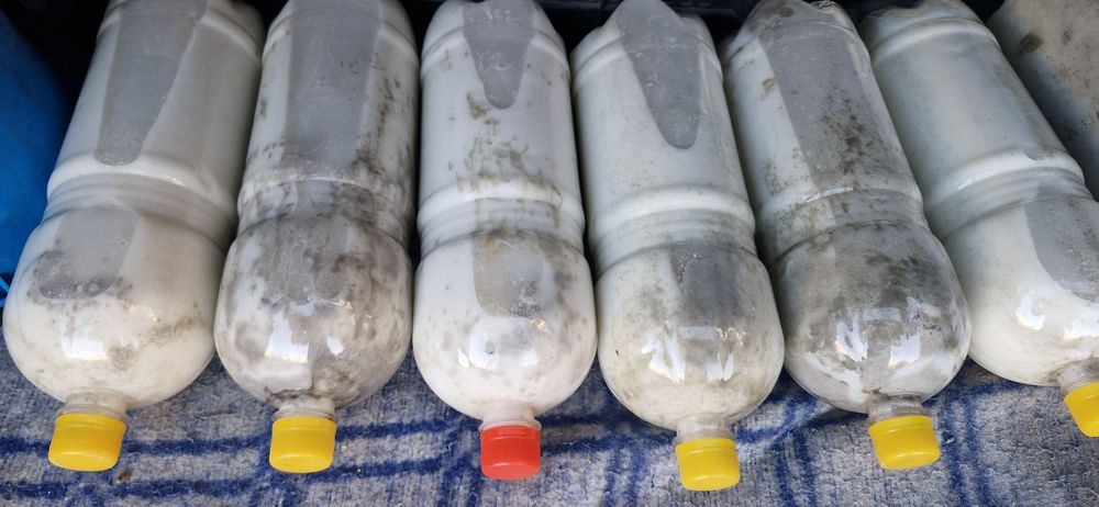 Кымыз Жанааркинский