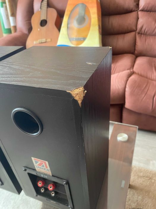 Тонколони TANNOY E11