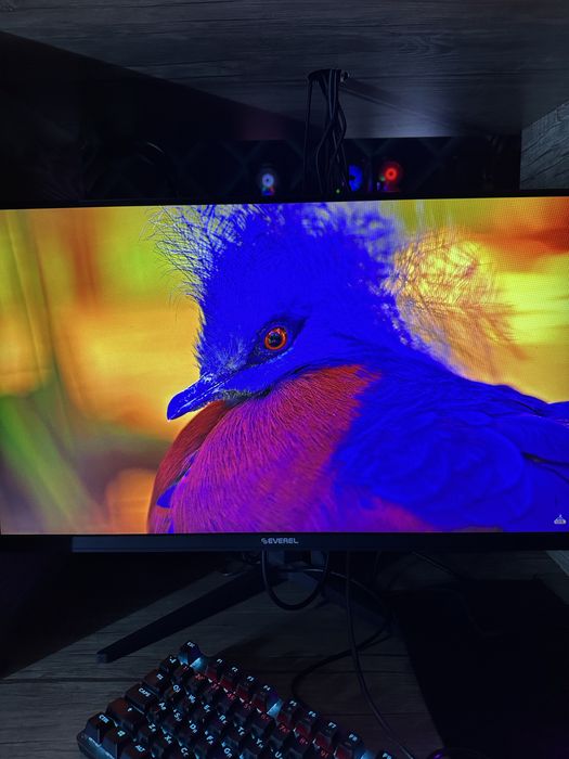 Monitor Everel 27/180Hz holati yaxshi 10 dona