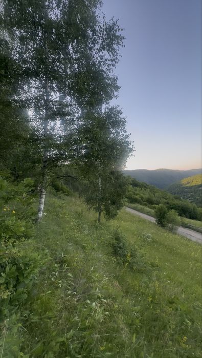 Teren intravilan 600 mp Muntele Rece Cluj