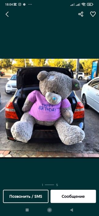 600000som Teddi 1m 2m 3m Teddy