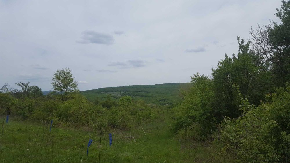 Продава се Земеделски имот в с. Горна Малина, Област София-област -  кв.м за 1222 €/дка - Снимка #3