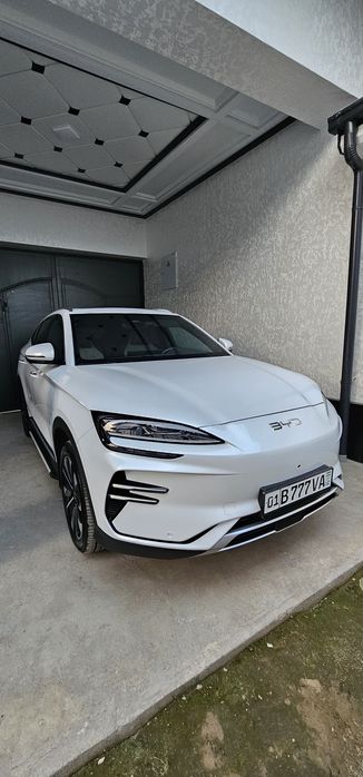 Byd champion restaylin