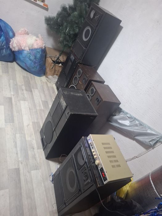 Калонки  домашние