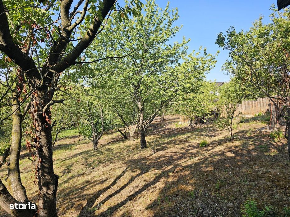 Teren Exceptional 1719 Mp Cu Helesteu De Peste Semi Central Iasi