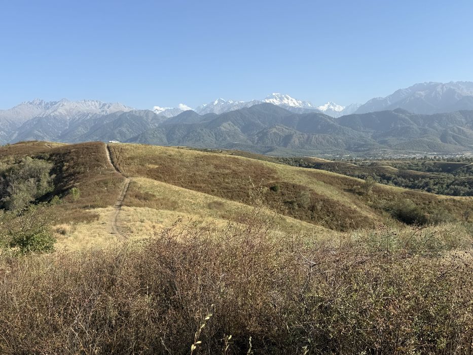 Продам участок 183 га