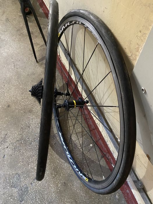 Roti mavic 28 cursiera