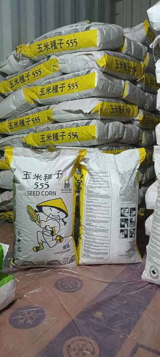 Семена кукурузы жугери тукымы