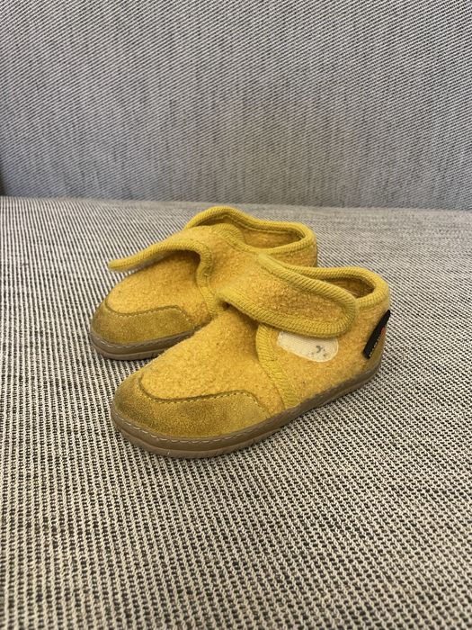 Botosi interior Haflinger masura 25