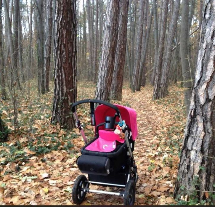 Детска количка Bugaboo Cameleon 3