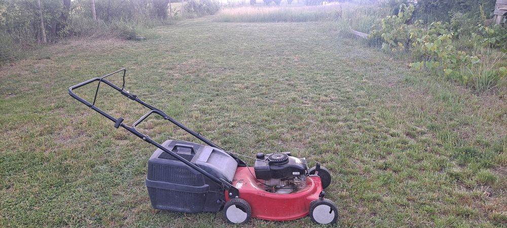 Cositoari Iarba Motor Briggs&Stratton