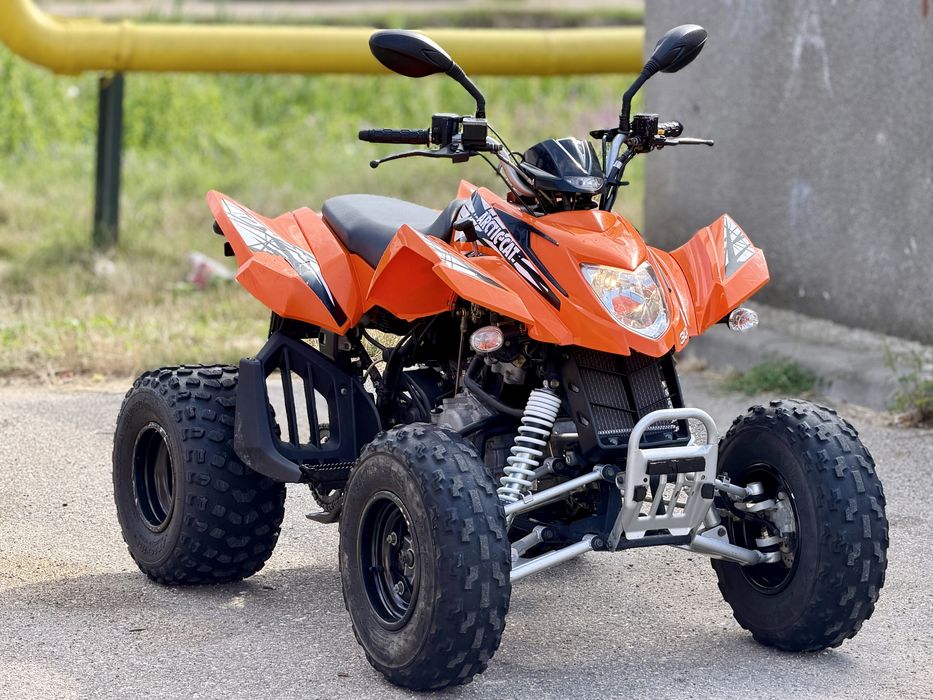 Arctic Cat DVX 300 Quad     Inmatriculat Numar Negru