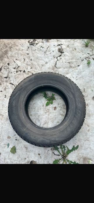 Продам зимнюю резину