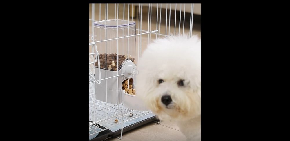 Продаётся кормушка для кроликов , собак , кошек и попугаев.