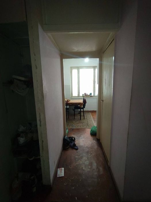 Qora qamish 2/1 da 1/2/4