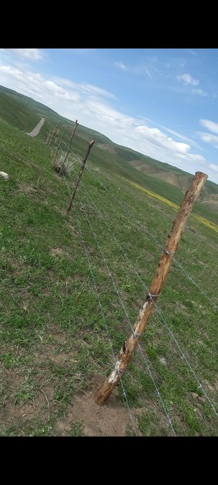 Фазенда сатылады