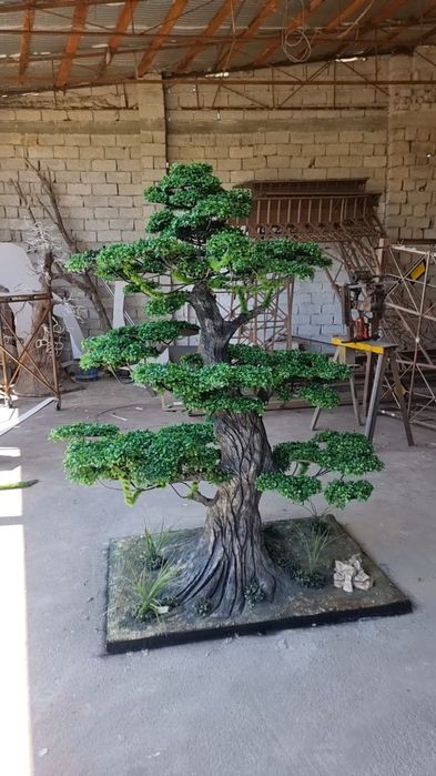 Bansay япон дарахти йасаб берамиз