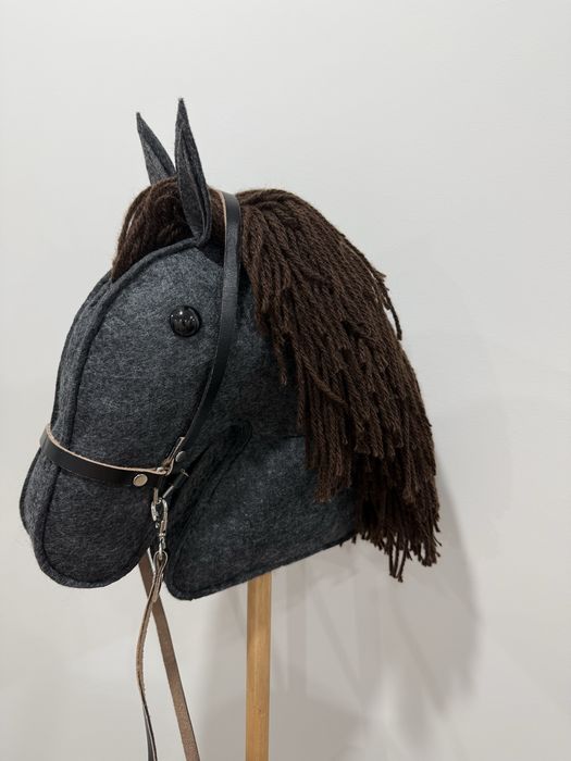 Таяқ ат - лошадки на палке, хобби хорсинг