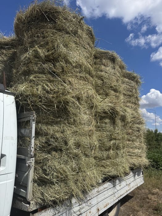 Продам луговое сено в рулонах