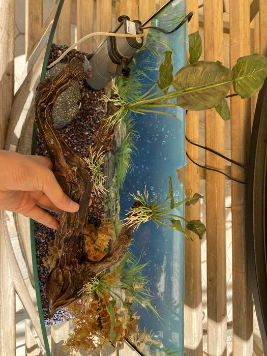 Аквариюм с подсветкой