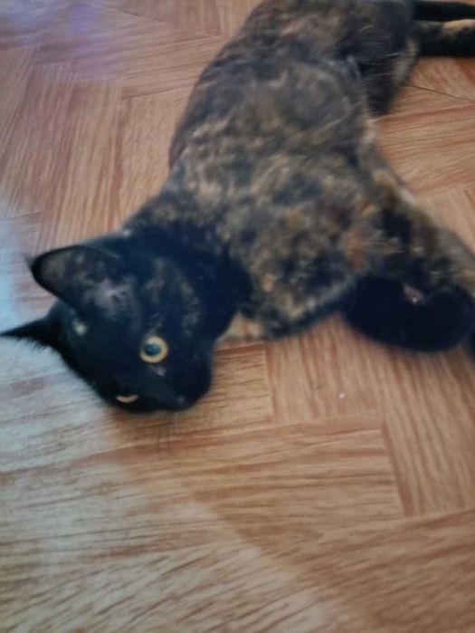 В самые ответственные руки