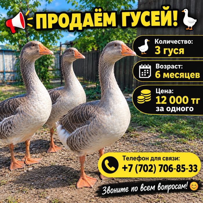 Продаем гусейй
