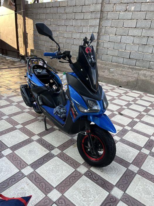 Самурай беннали 180куб