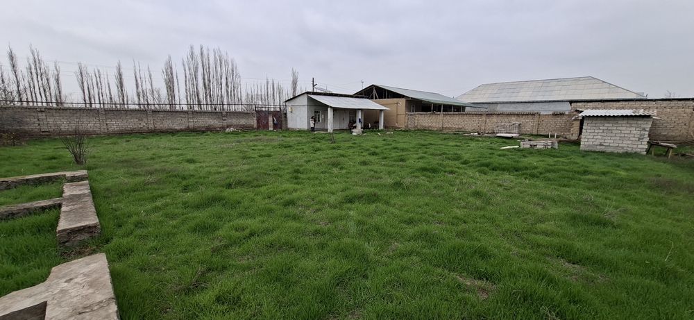 Продаю дом с участком