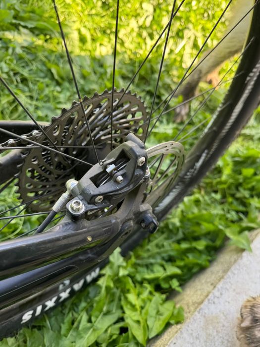 Canyon spectral cf 9