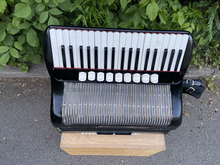 Acordeon nemtesc Cantulia cu 96 de basi ton de orga