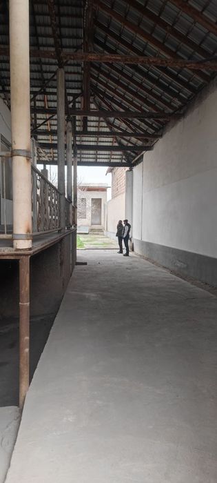 12 сутикли ховли сотилади