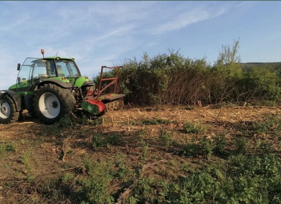 Curatare defrisare terenuri tocat spini