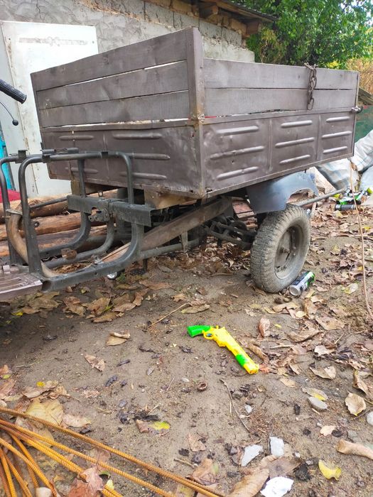 Продается муровей