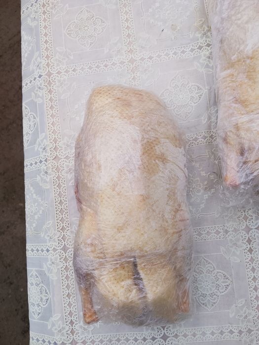 Утка домашняя с Петропавловска