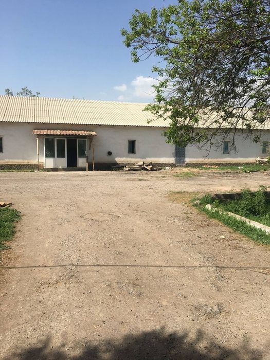 Вдоль дороги 2 гектара Таваксай