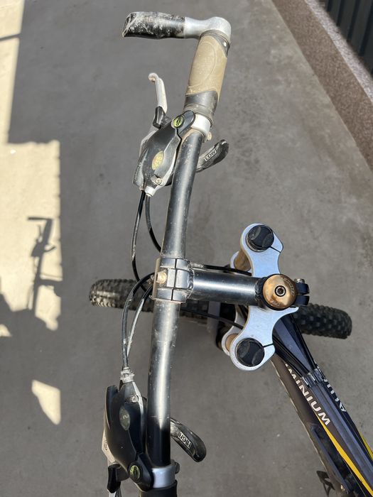 Vand bicicleta First Bike